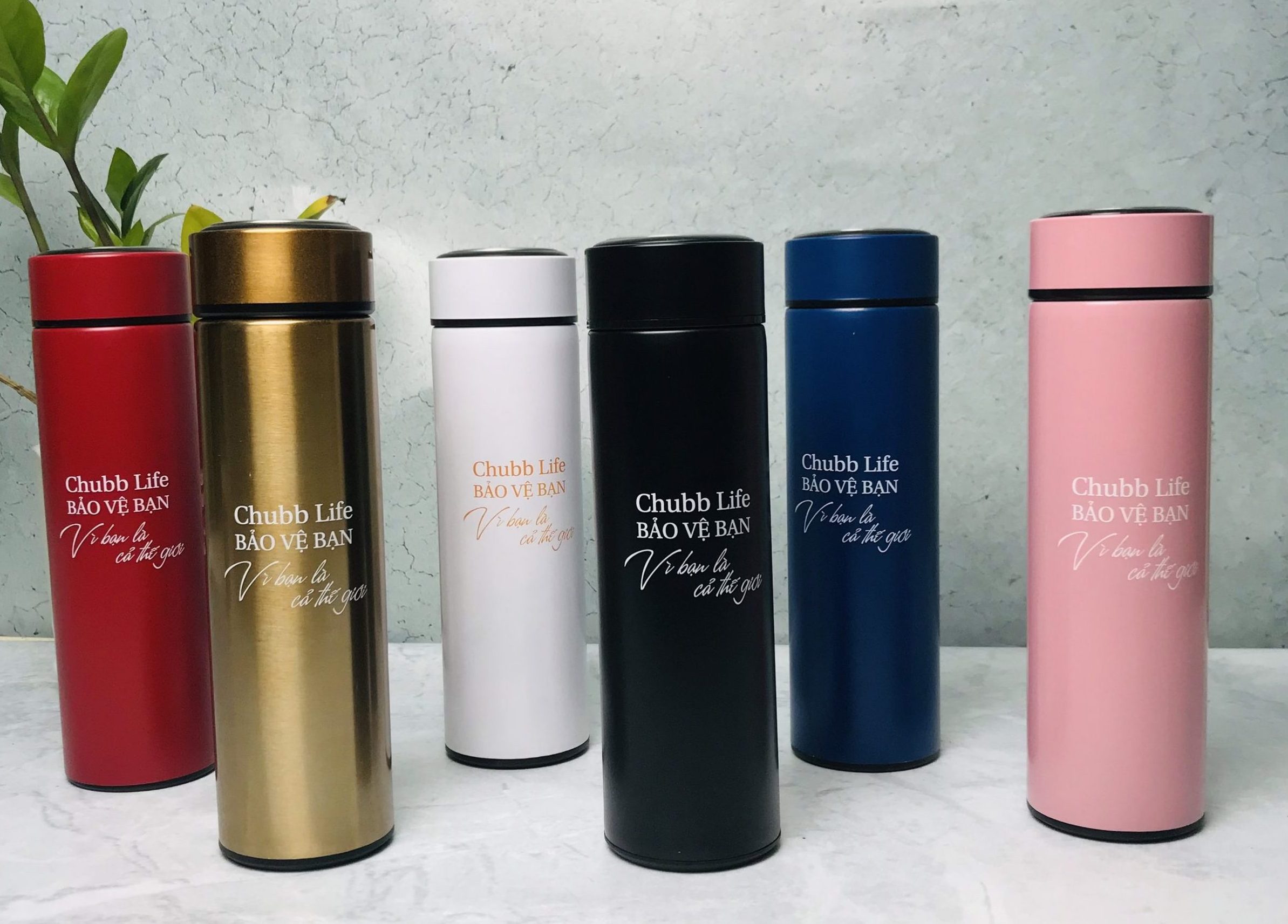 JESMARY – Bình Giữ Nhiệt In Hình Idol, Quà Tặng Fanmeeting Độc Đáo